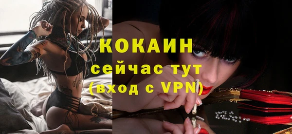 прущие грибы Богородск