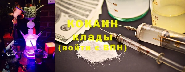 прущие грибы Богородск