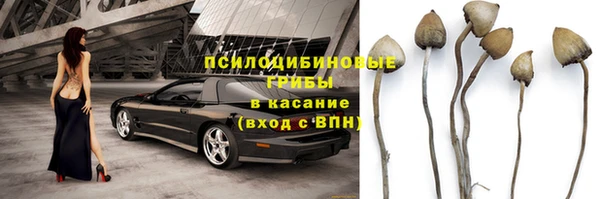 каннабис Бородино