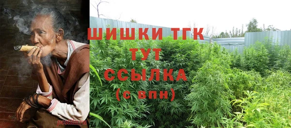 ECSTASY Строитель