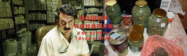 прущие грибы Богородск