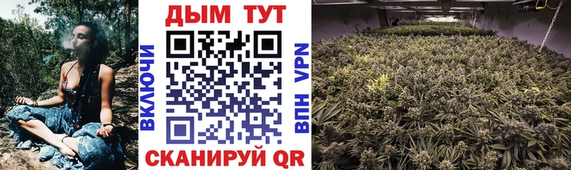 Каннабис семена  Вязьма 